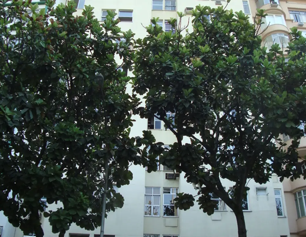 Edificio Camargue