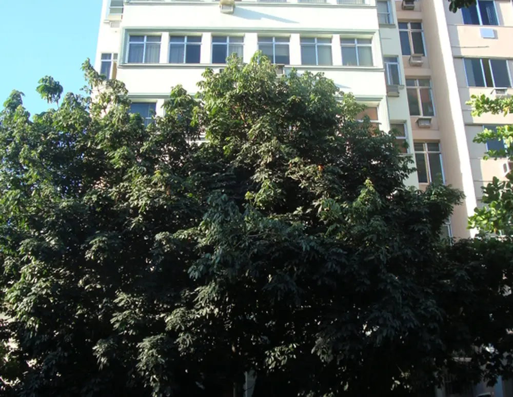 Edificio Catalina