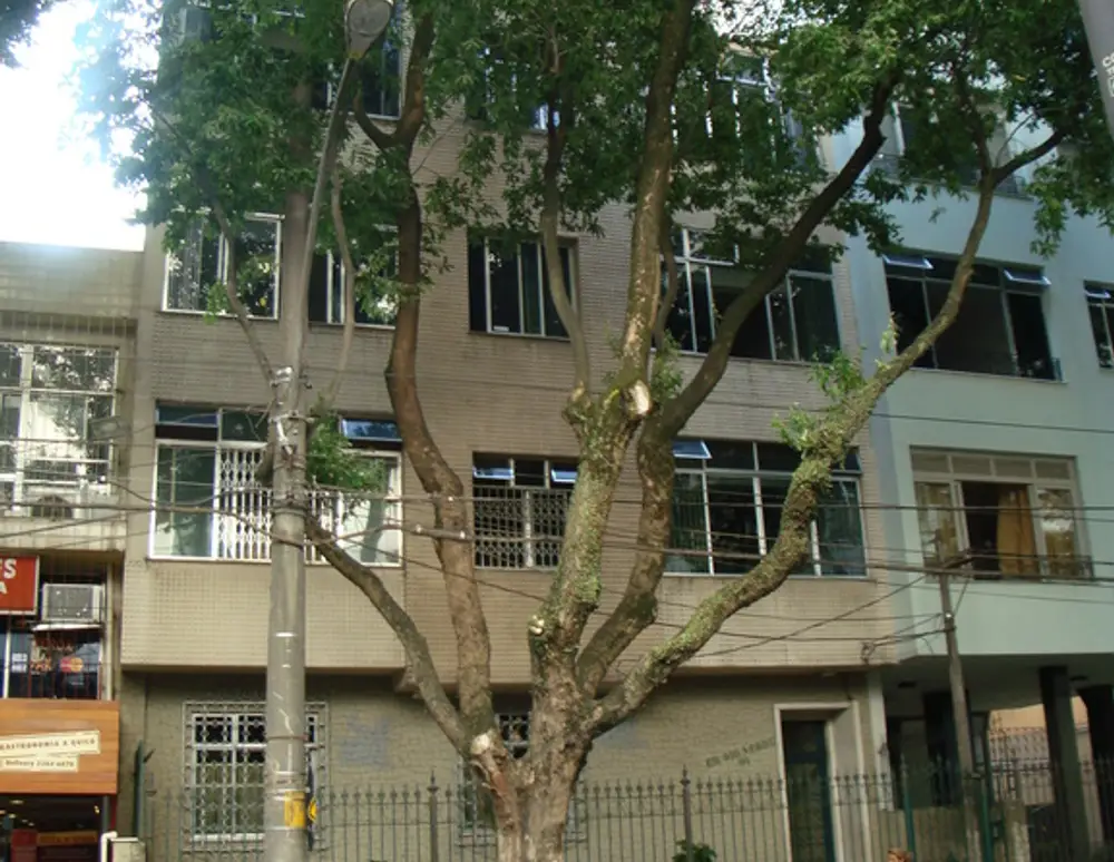 Edificio Rio Verde
