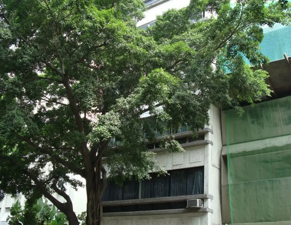 Edificio Eileen