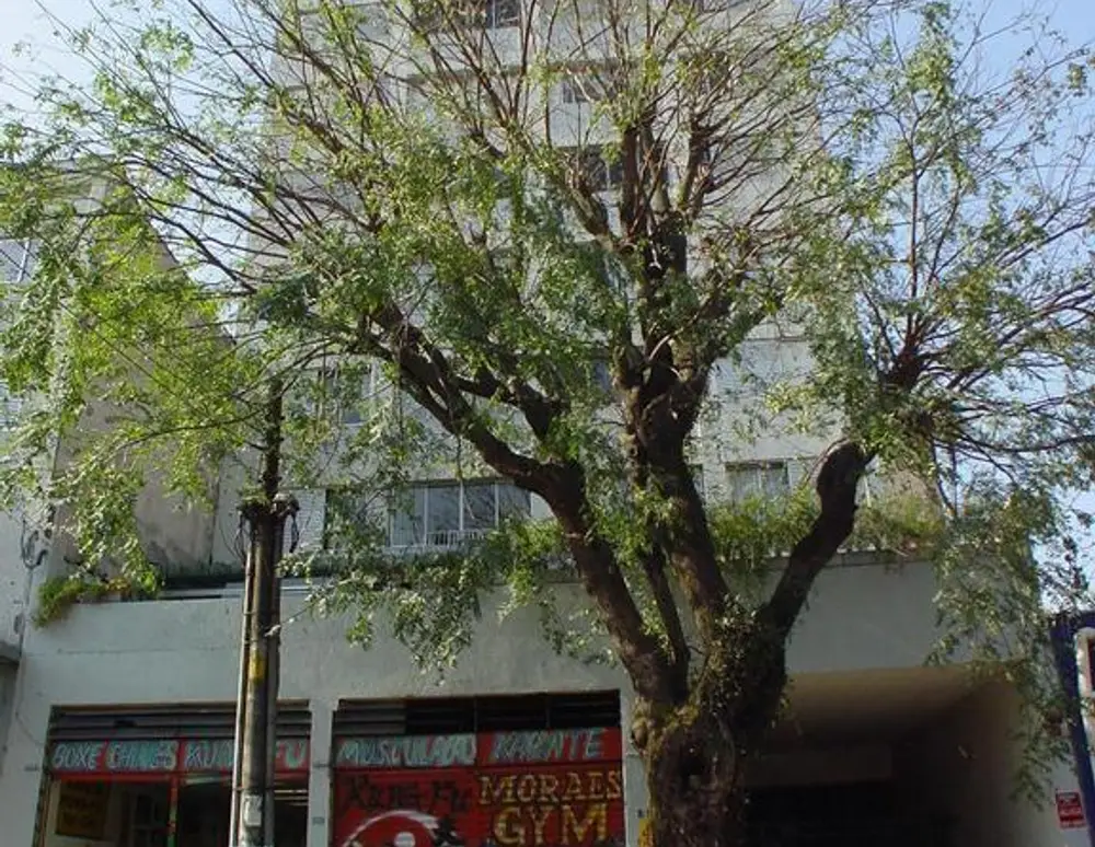 Edificio Sao Francisco — foto 2