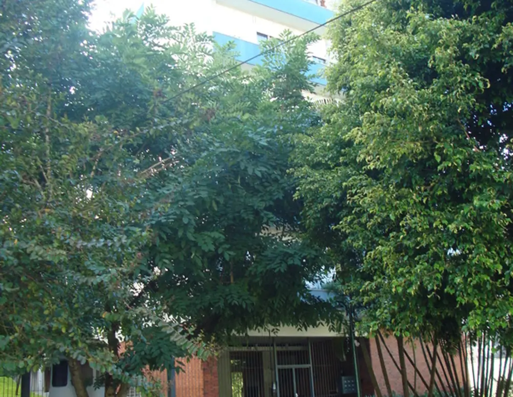 Edificio Berimbau