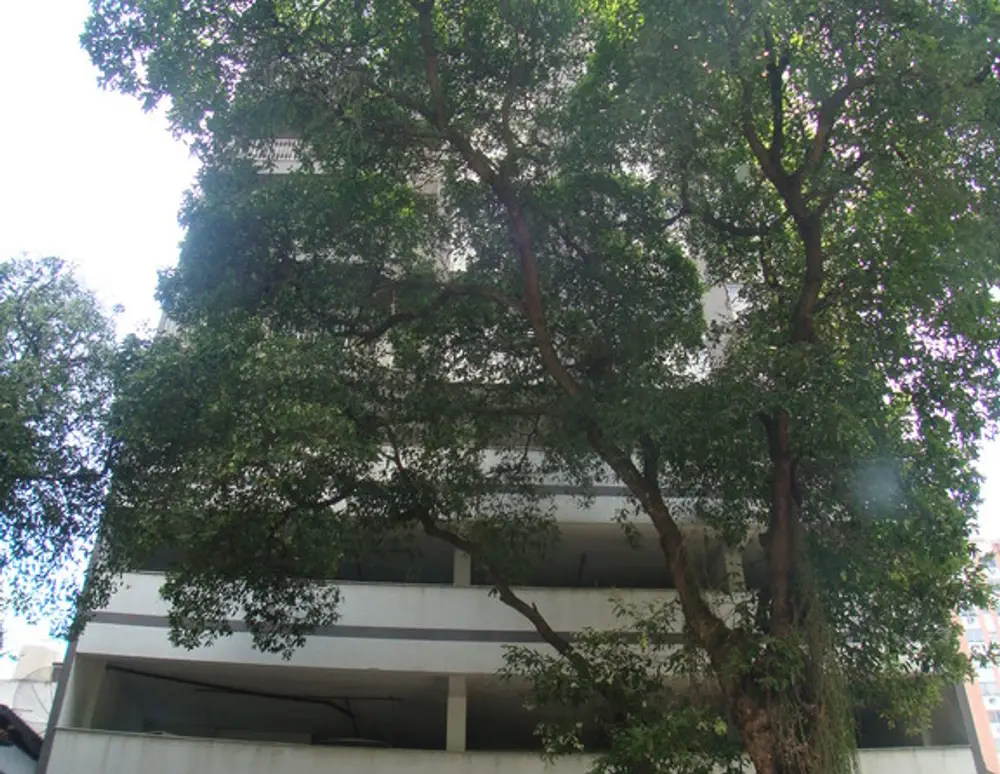 Edificio Solar Cinco de Julho