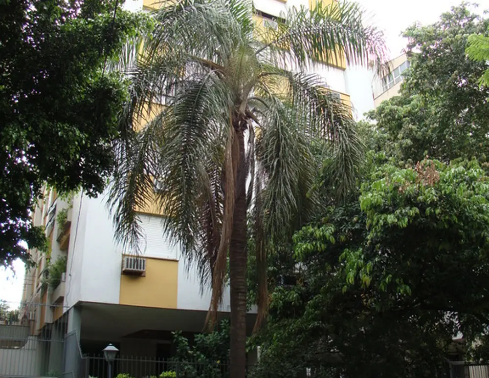 Edificio Araguaia
