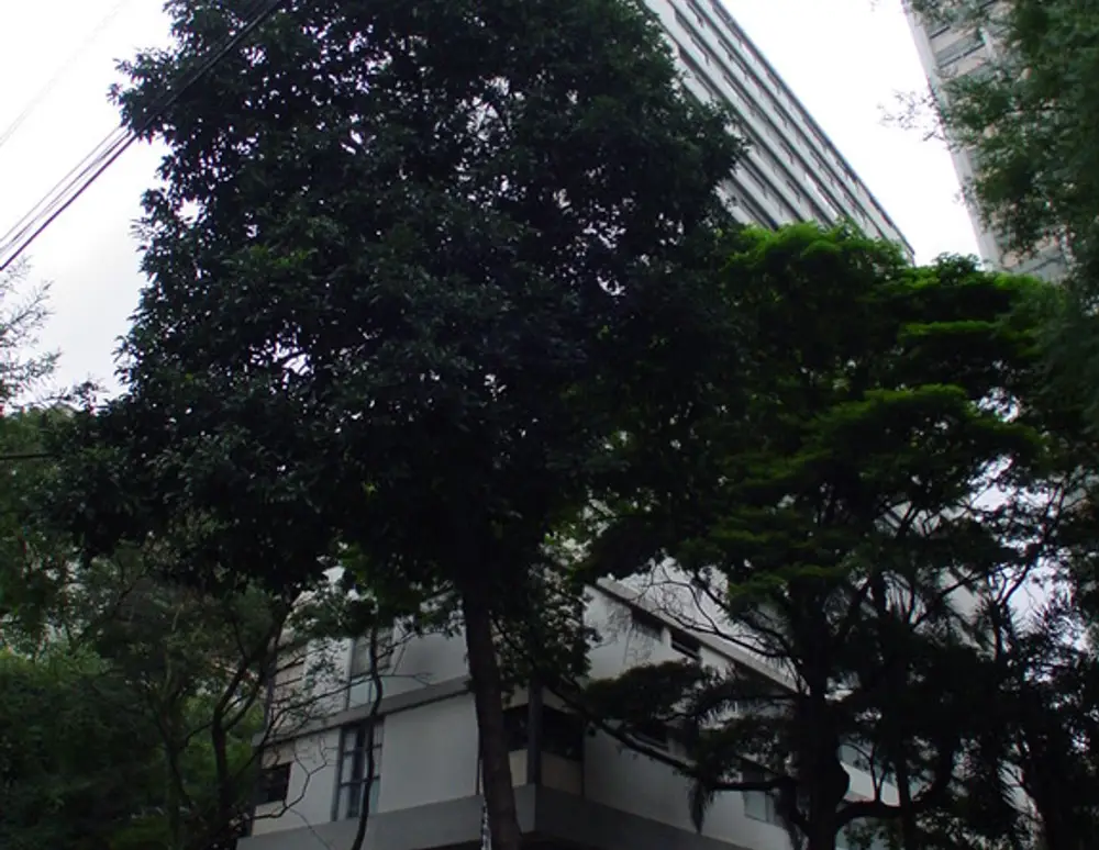Edificio Planalto — foto 2