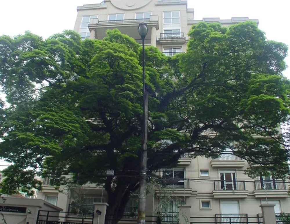 Edificio Maison Vivianne — foto 2