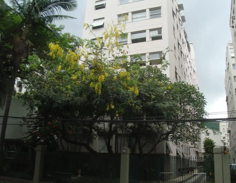 Edificio Macedo Costa — foto 2
