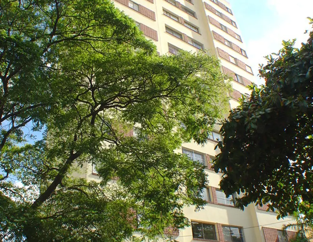 Edificio Carolina — foto 6