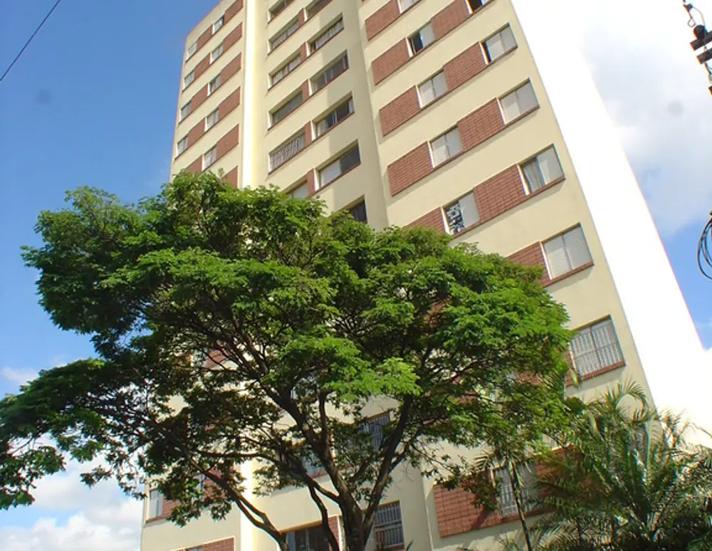 Edificio Carolina — foto 8