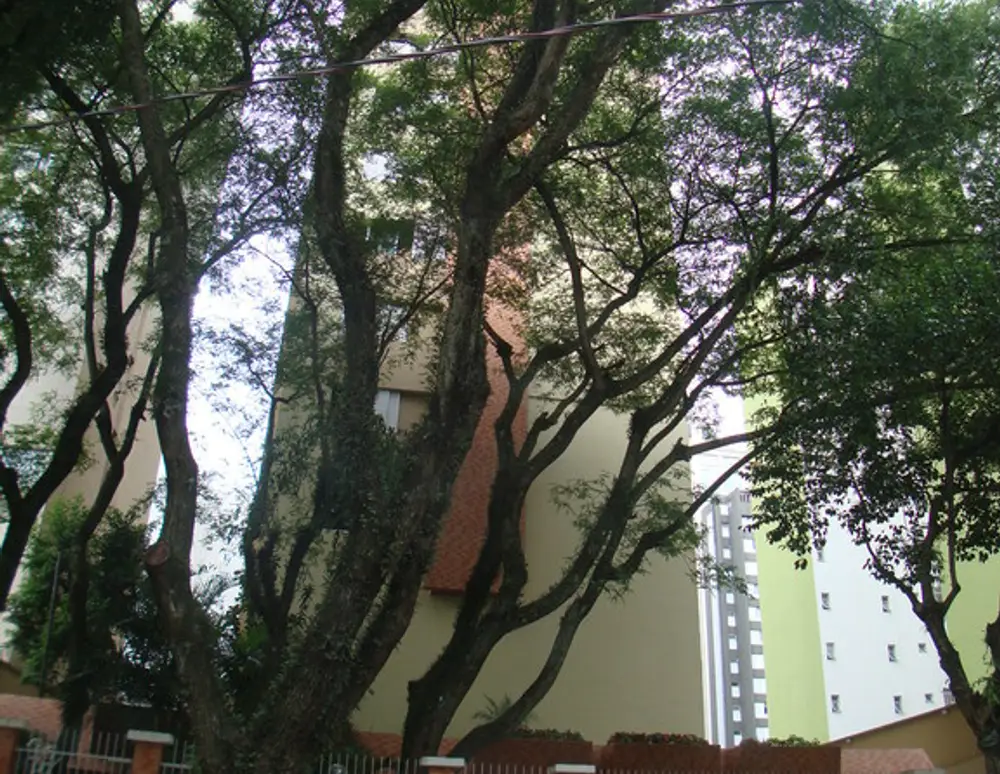 Edificio Fernao de Magalhaes