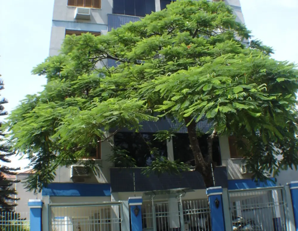 Edificio Solar de Veneza