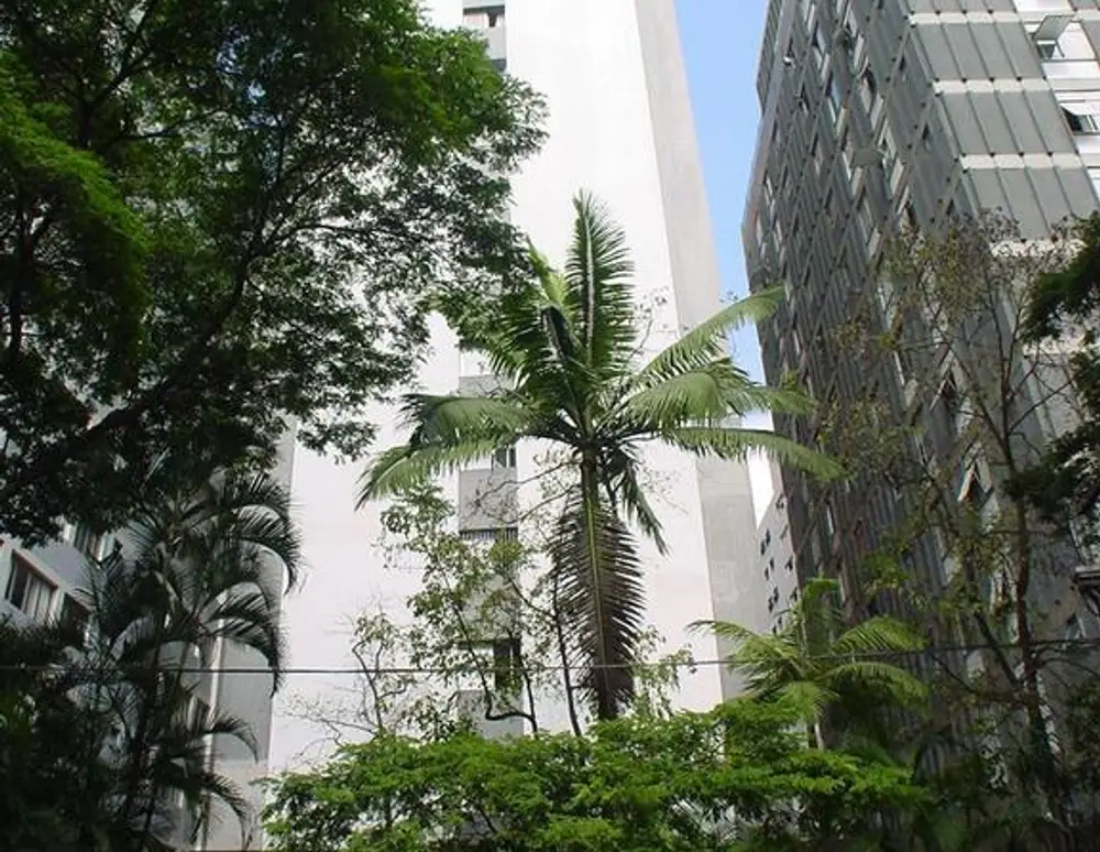 Edificio Orion — foto 2