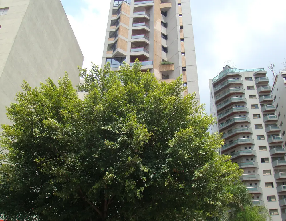 Edificio Mondrian — foto 2