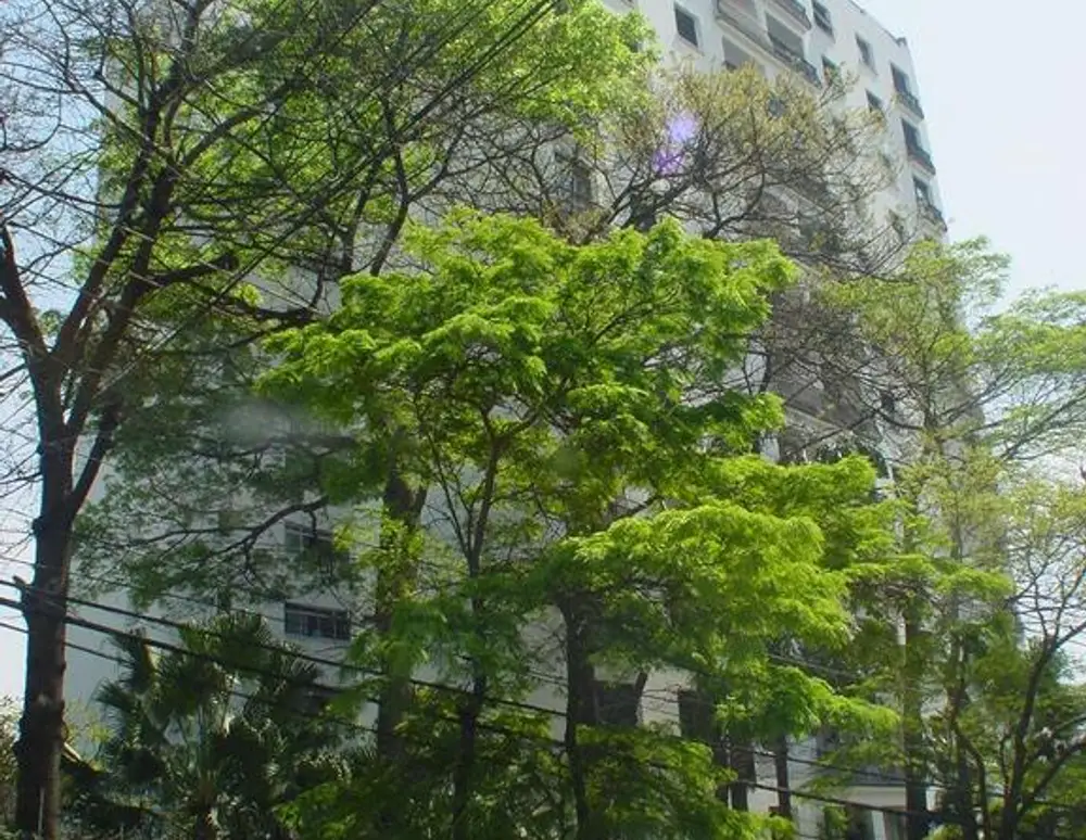 Edificio Parque Barao de Duprat