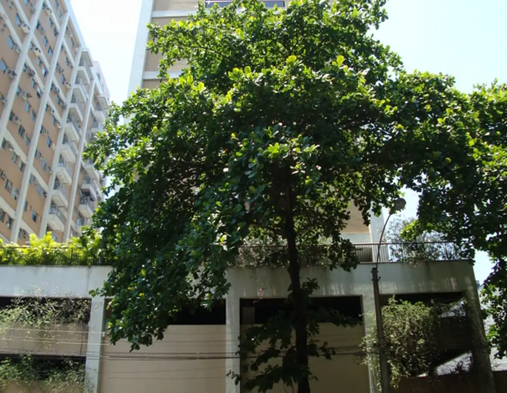 Edificio Rosselini