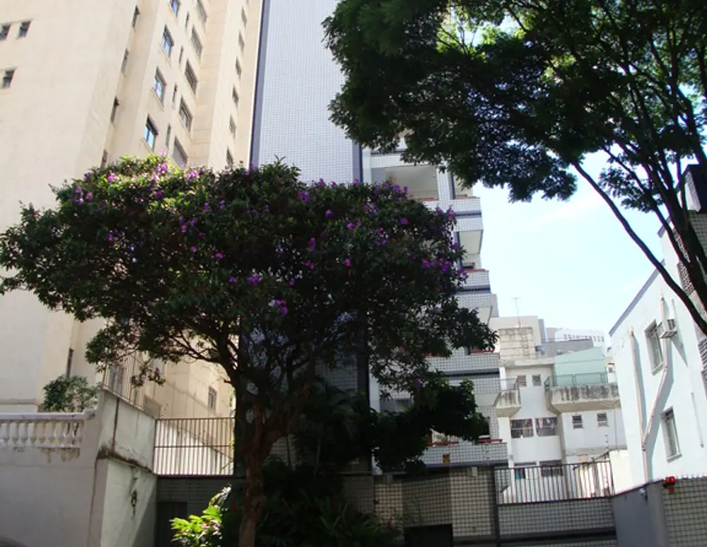 Edificio Natania