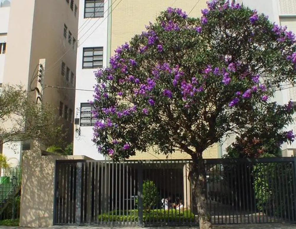 Edifício Paiva