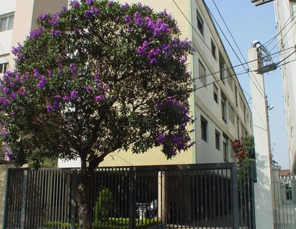Edifício Paiva — foto 2