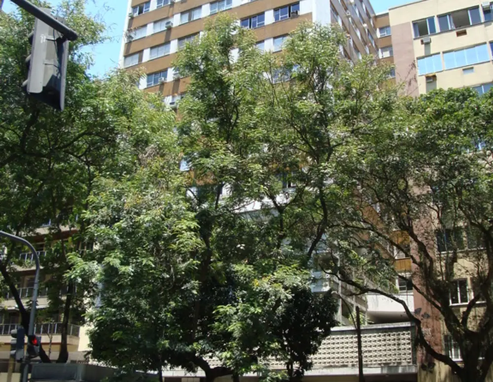 Edificio San Clementi