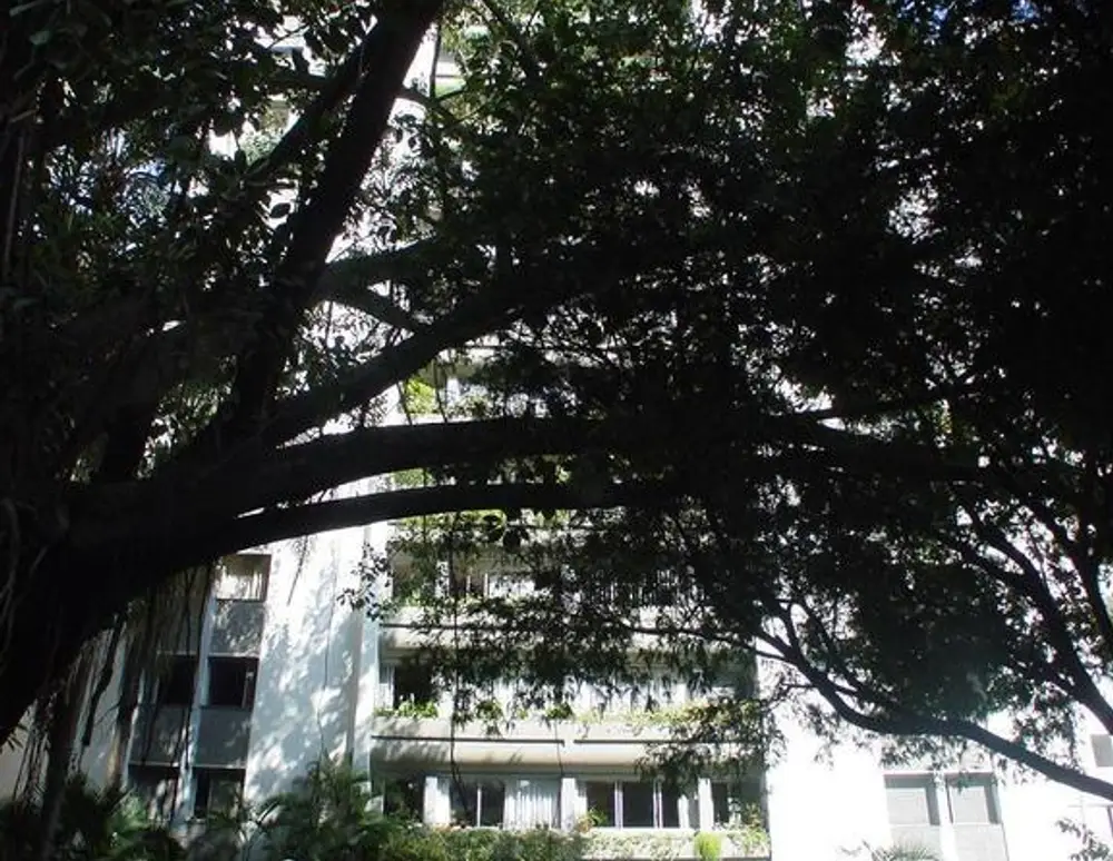Edificio Mondrian — foto 5
