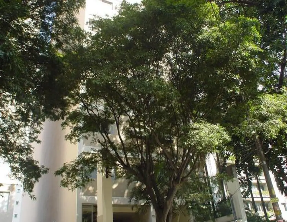 Edificio Formai