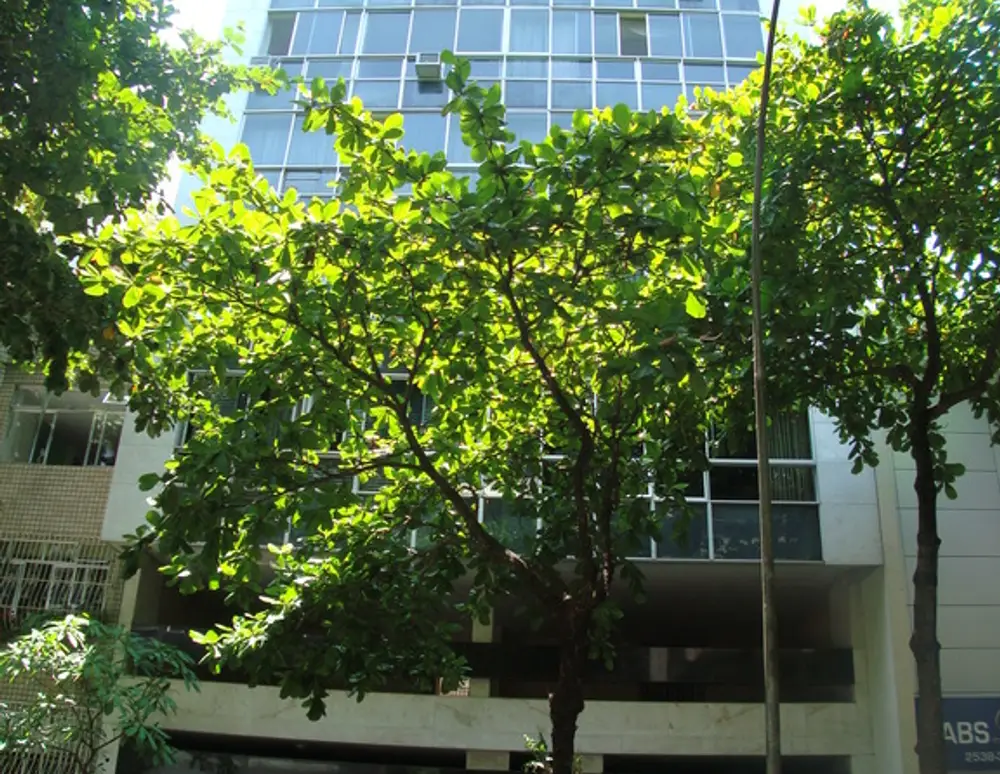 Edificio Nederland