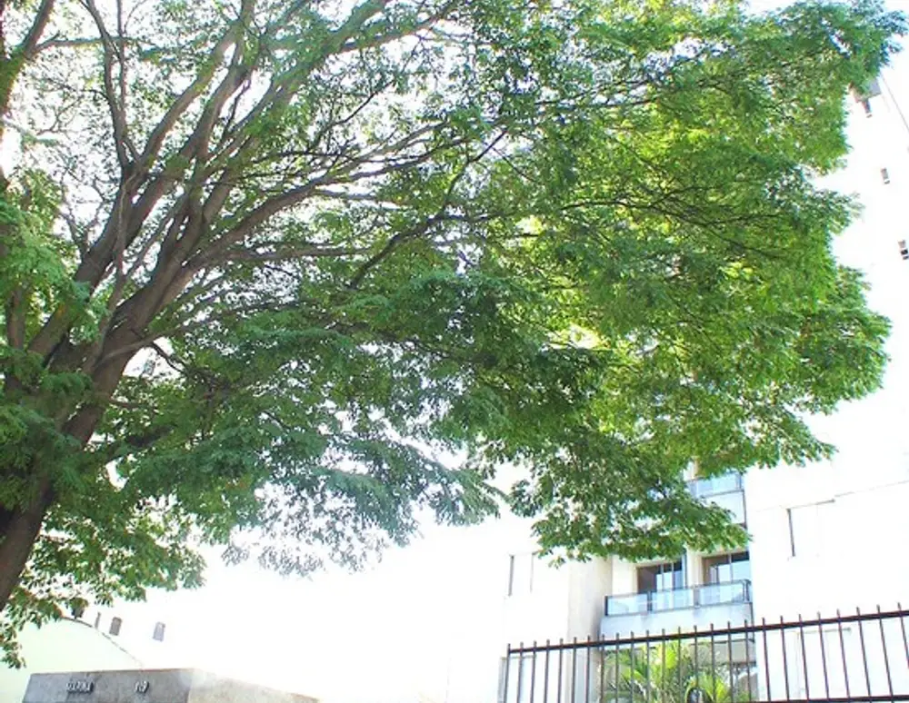 Edificio Marina — foto 5