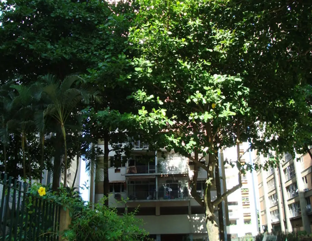 Edificio Luanda