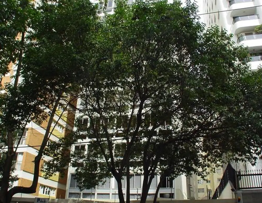 Edificio Barao de Pirapitingui