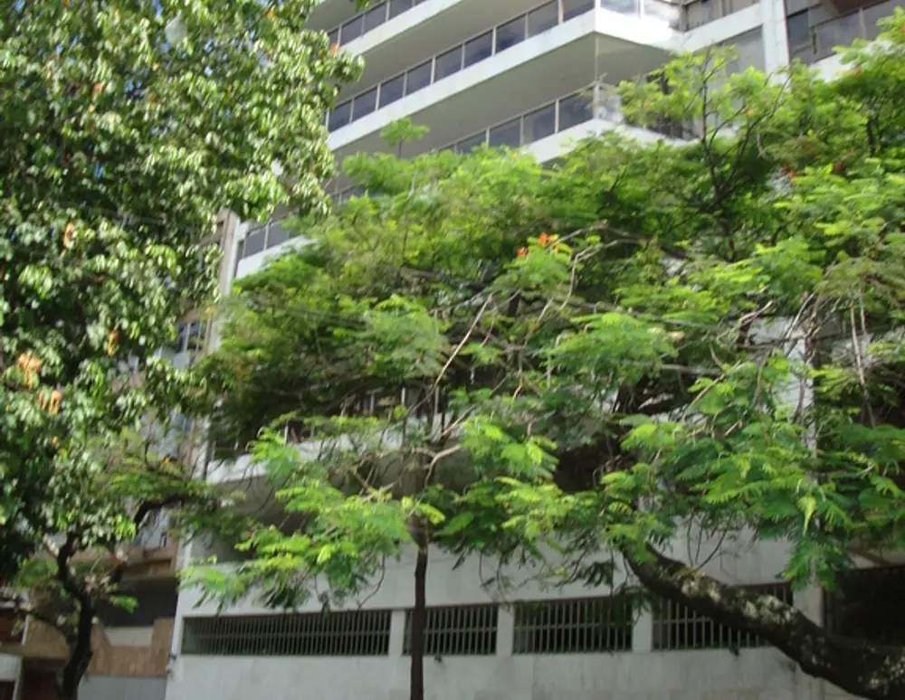 Edificio Carla Maria
