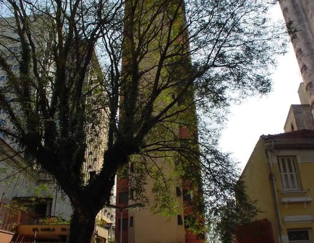 Edificio Carla