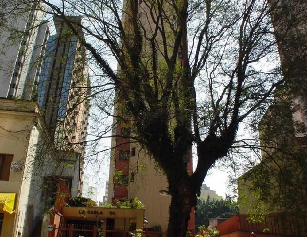 Edificio Carla — foto 2