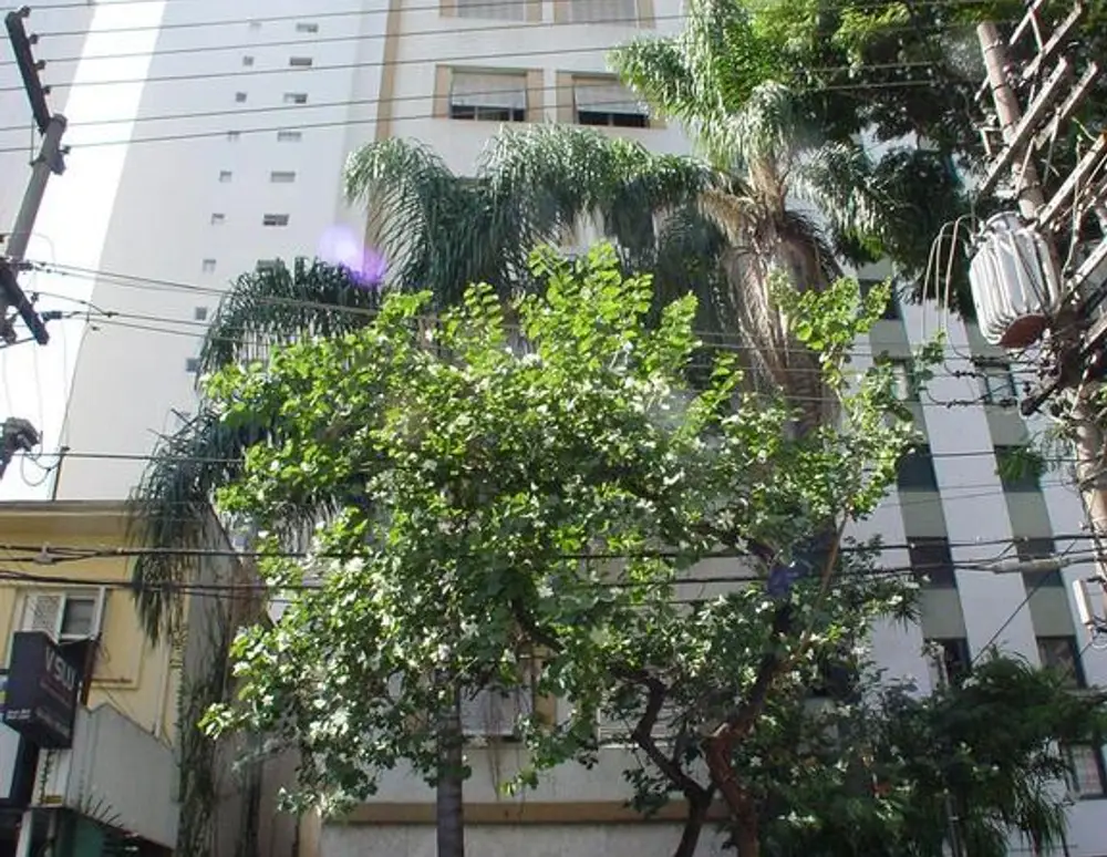 Edificio Apolo