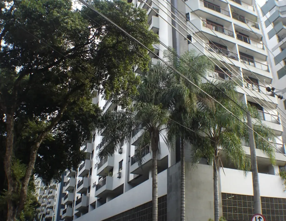 Alamanda — foto 2