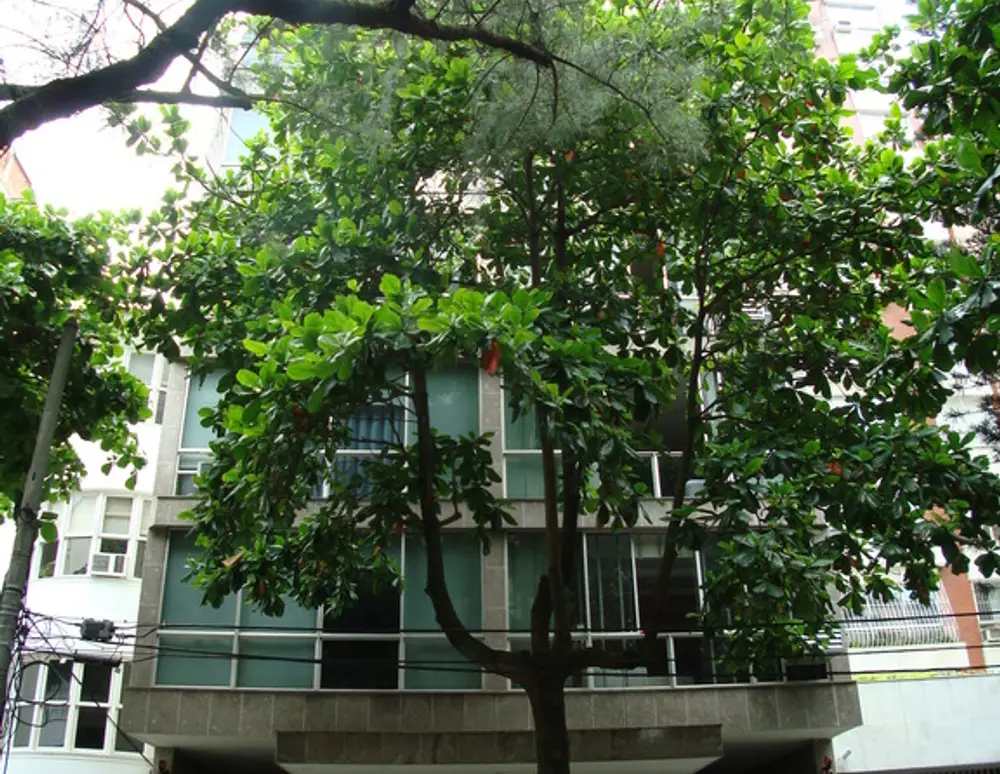 Edificio Praiamar