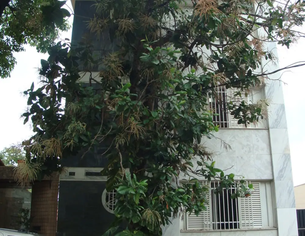 Edificio Paola Goncalves de A. Quintao