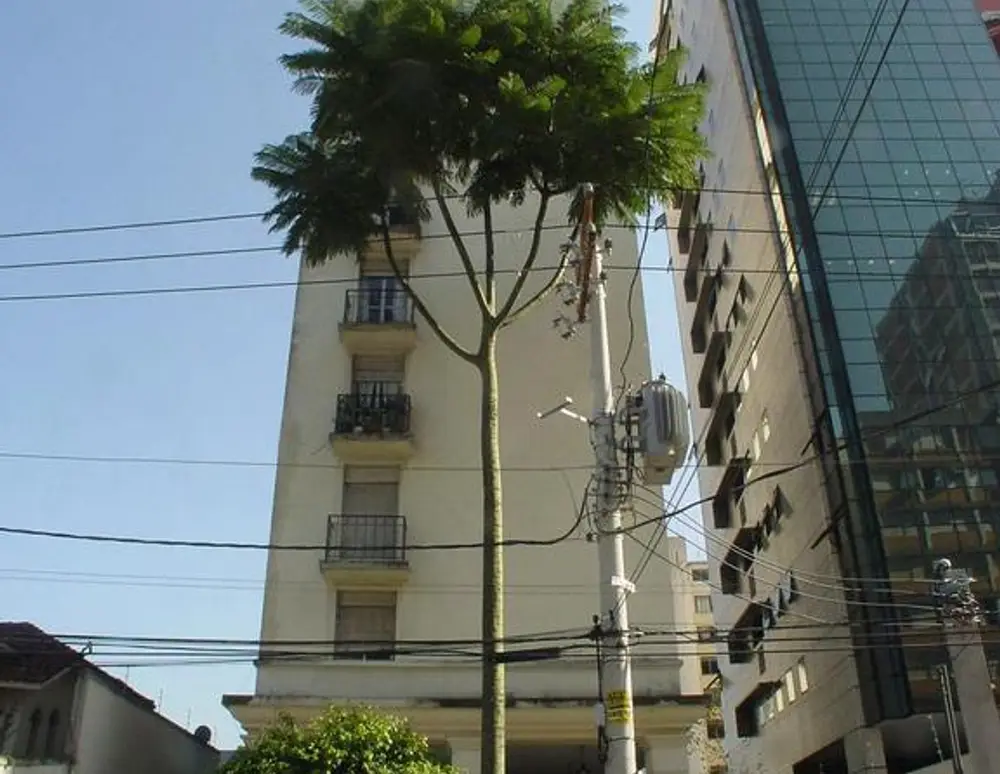 Edificio Marques de Sao Joao Del Rey — foto 2