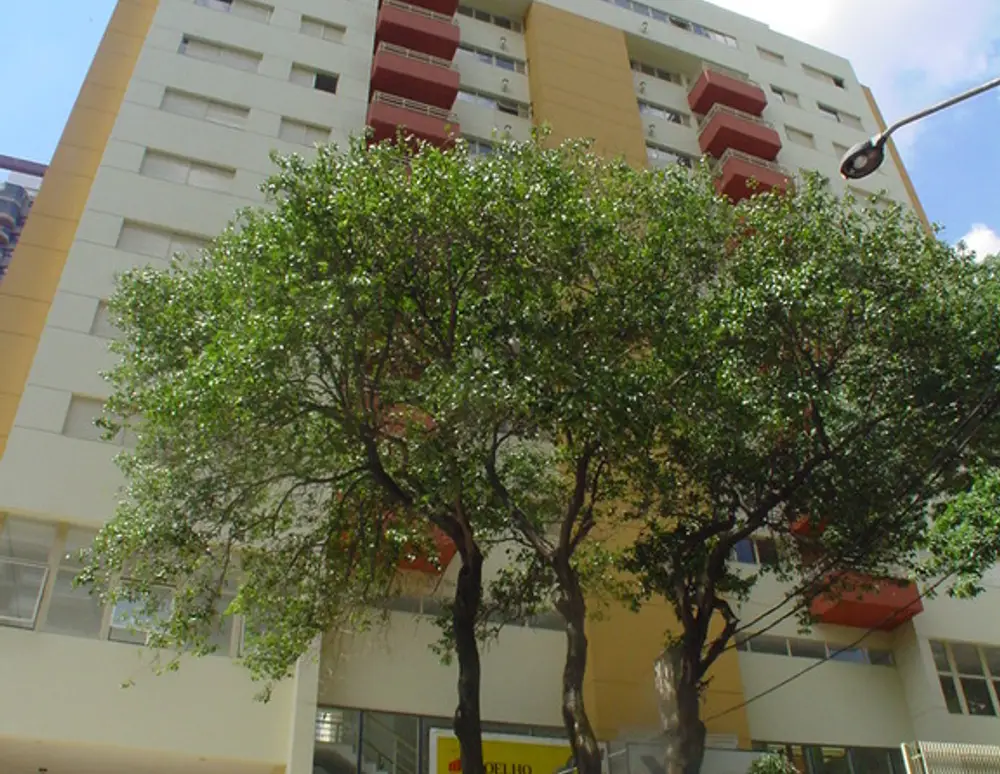 Edificio Solar das Perdizes — foto 3
