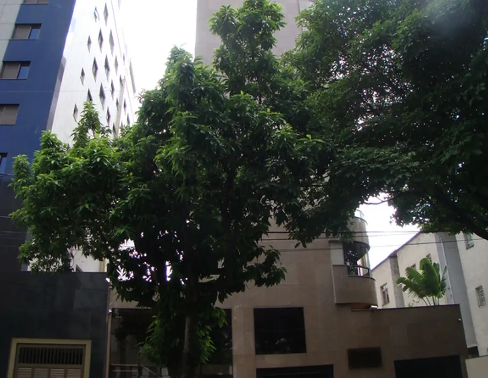 Edificio Quintas da Liberdade