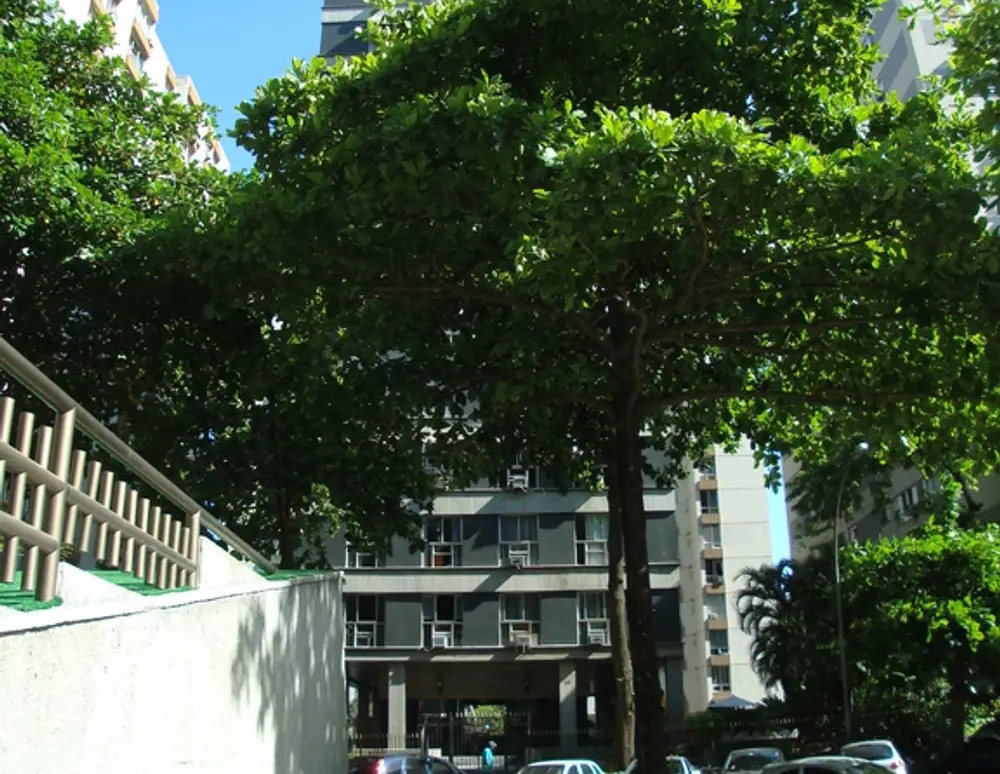 Edificio Maestro Villa Lobos