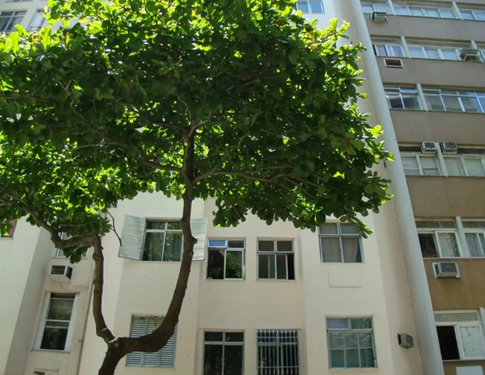 Edificio Lausanne