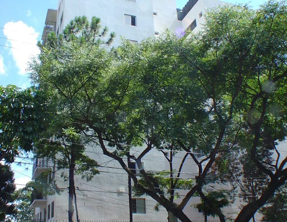 Edificio Planalto do Butanta