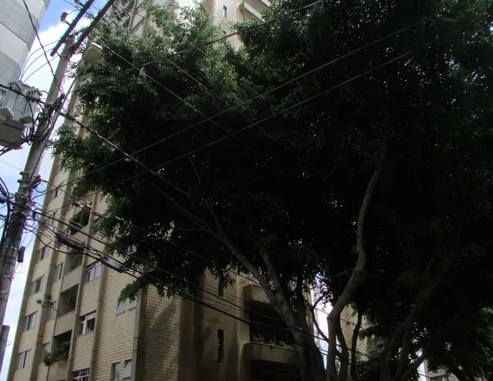Edificio Elias Donato
