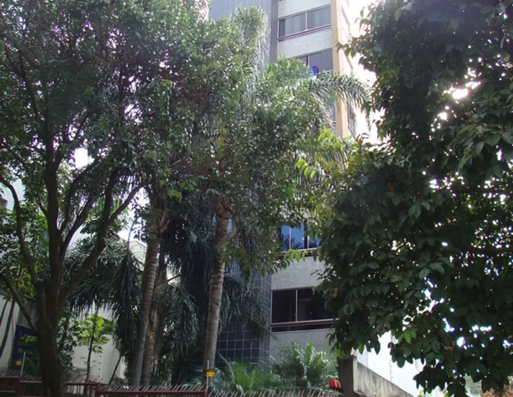 Edificio Manhatan