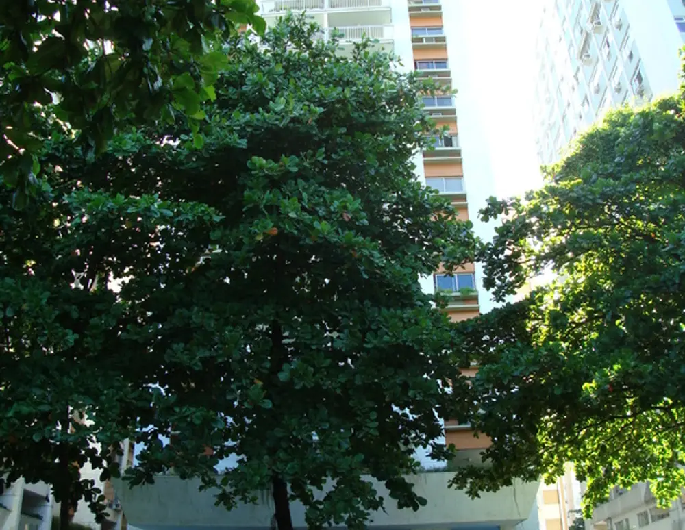 Edificio Lugano