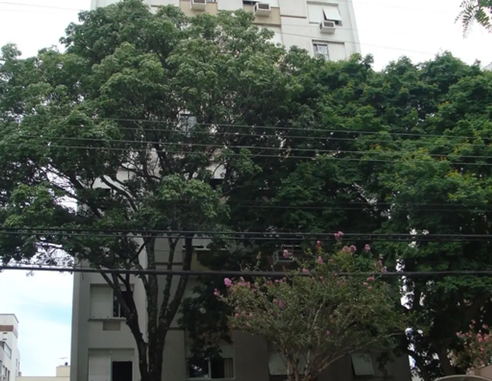 Edifício Porto Seguro