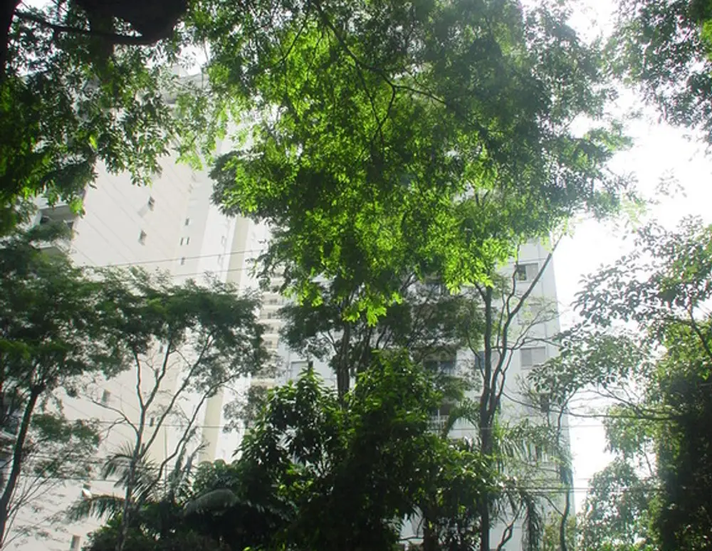 Edificio Jardim das Bahamas