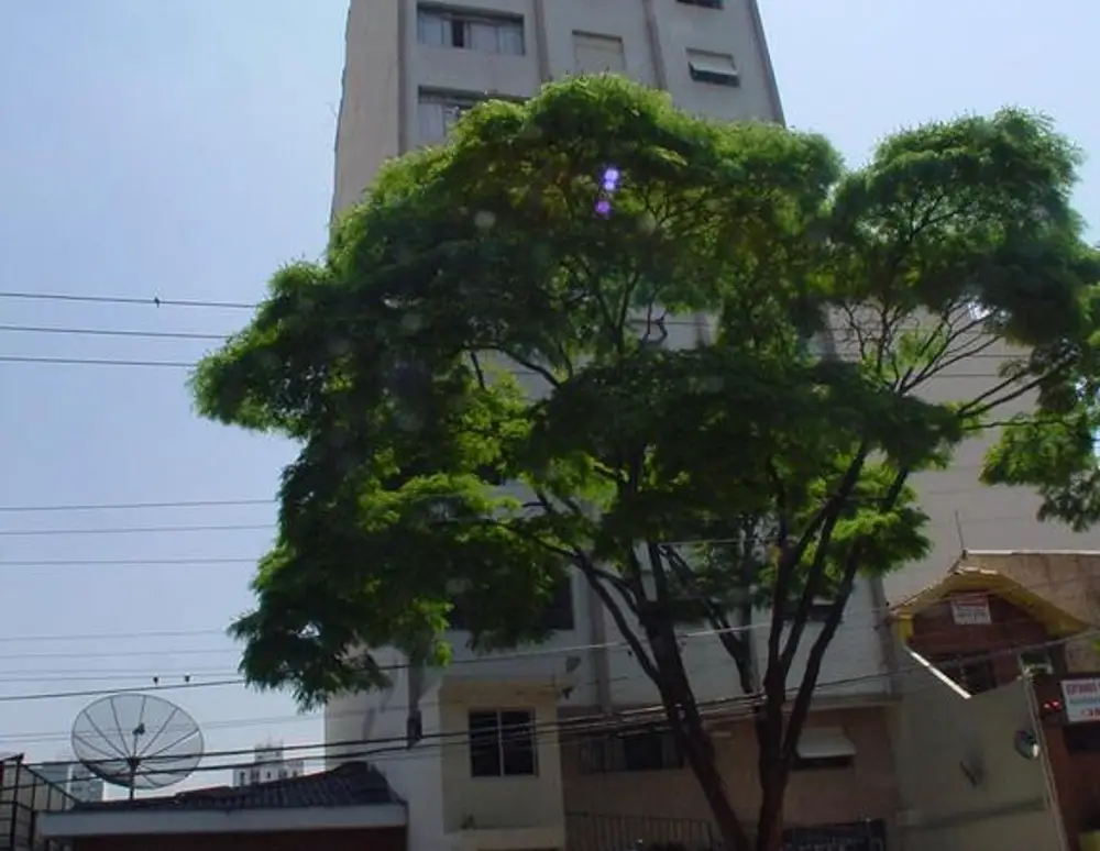 Edificio Minerva — foto 2