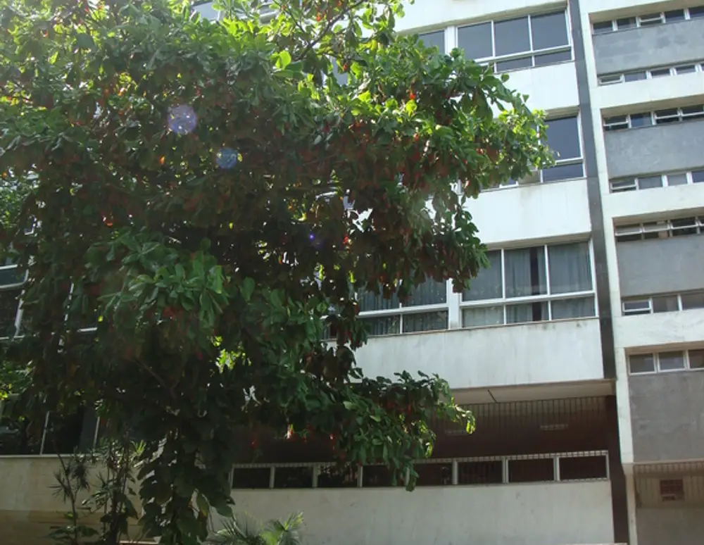 Edificio Cabana Dez