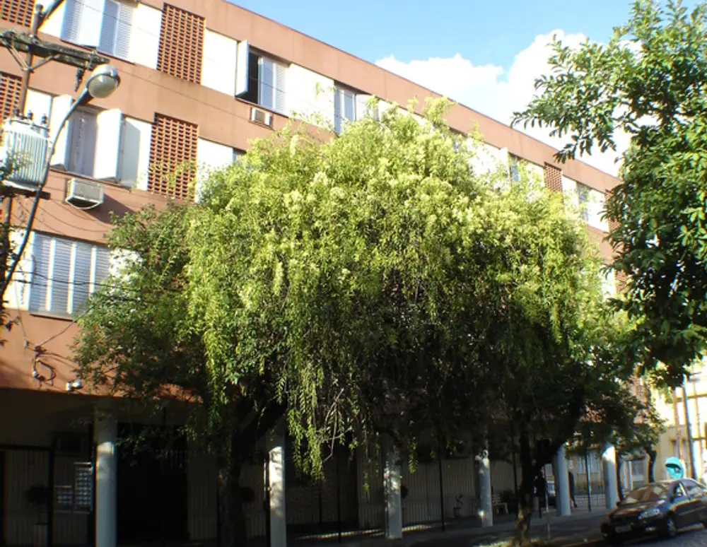 Edificio Aurea